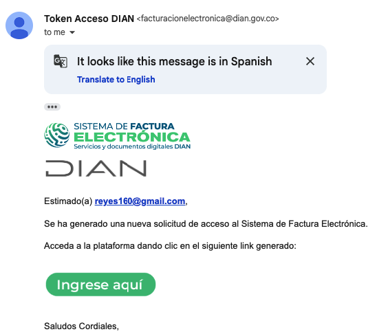Token recibido dian